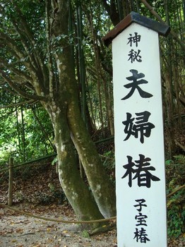 八重垣神社 (8).JPG