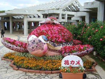 美ら海水族館 (1).JPG