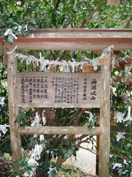 荒立神社 (3).JPG