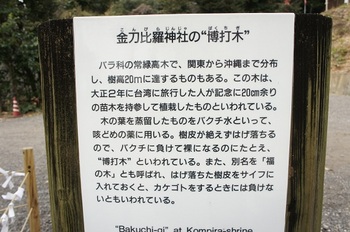 金刀比羅神社 (5).JPG