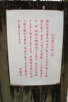 金刀比羅神社 (9).JPG
